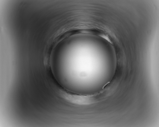 X0000099950044200805231330