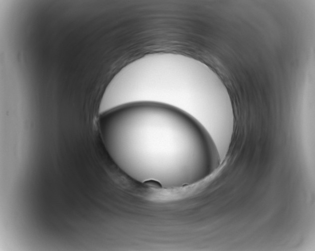 X0000099950045200805231330