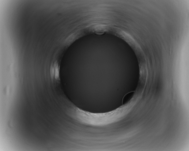 X0000099950046200805231330