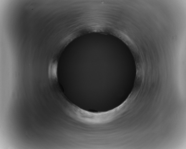 X0000099950047200805231330