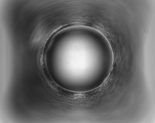 X0000099950050200805231329