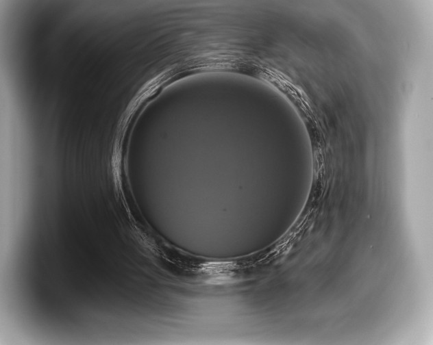 X0000099950051200805231329