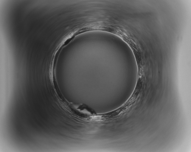 X0000099950052200805231329