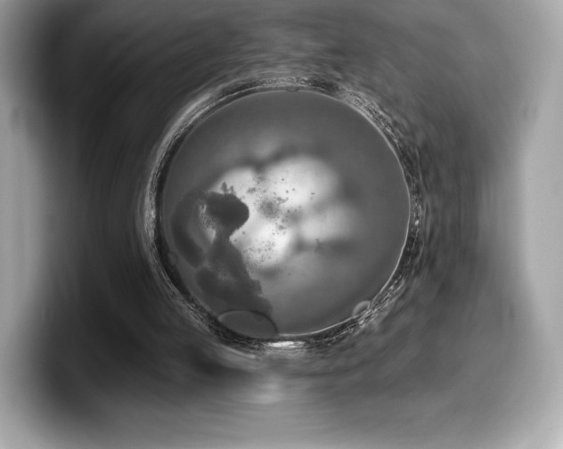 X0000099950053200805231329