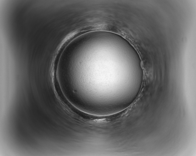 X0000099950054200805231329