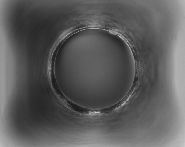 X0000099950055200805231329