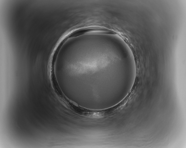 X0000099950056200805231329
