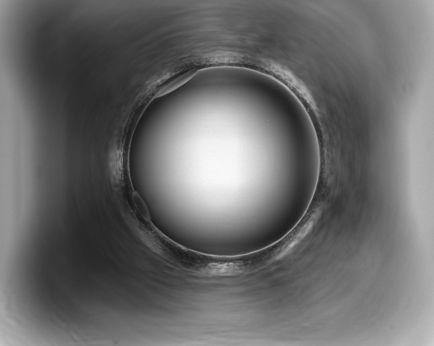 X0000099950057200805231329