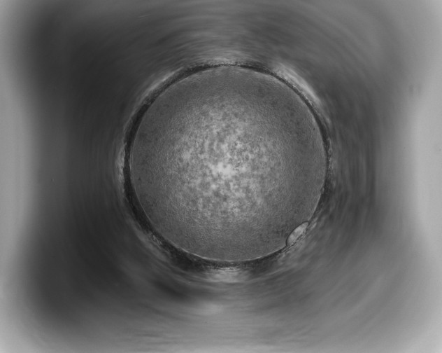 X0000099950058200805231329