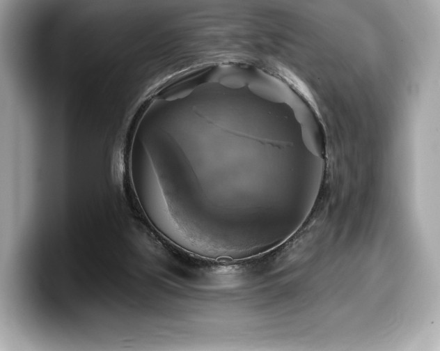 X0000099950059200805231329