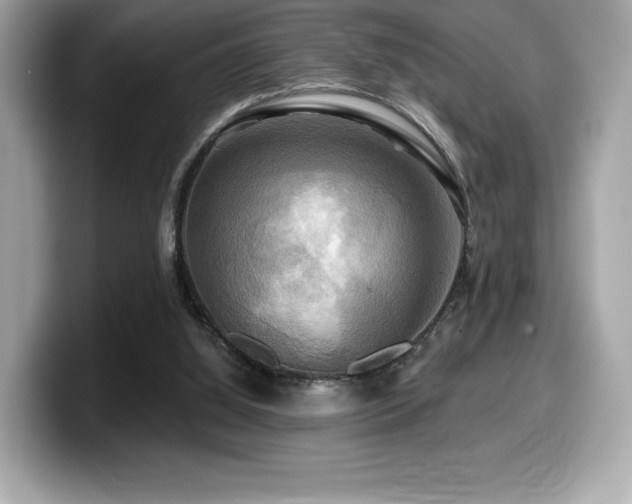 X0000099950060200805231330
