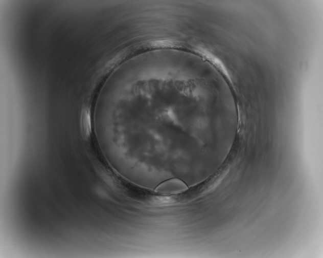 X0000099950061200805231330