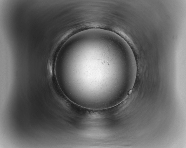 X0000099950062200805231330