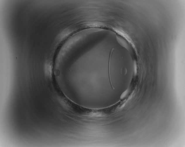 X0000099950063200805231330