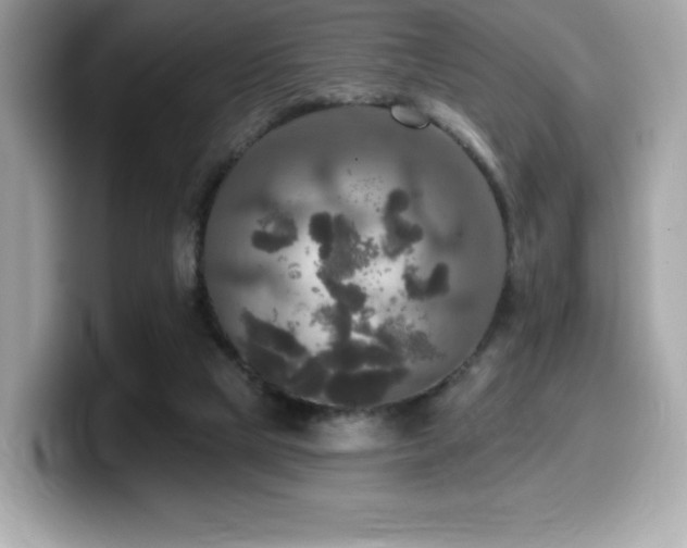 X0000099950065200805231330