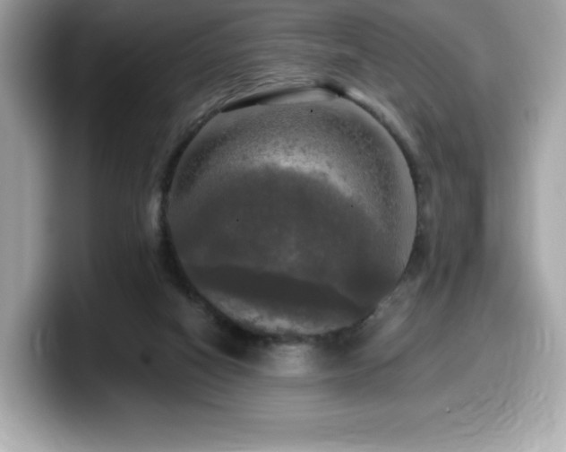 X0000099950066200805231330