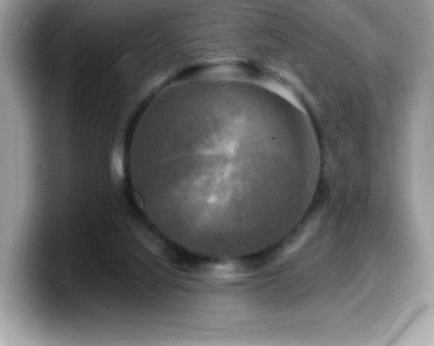 X0000099950068200805231330