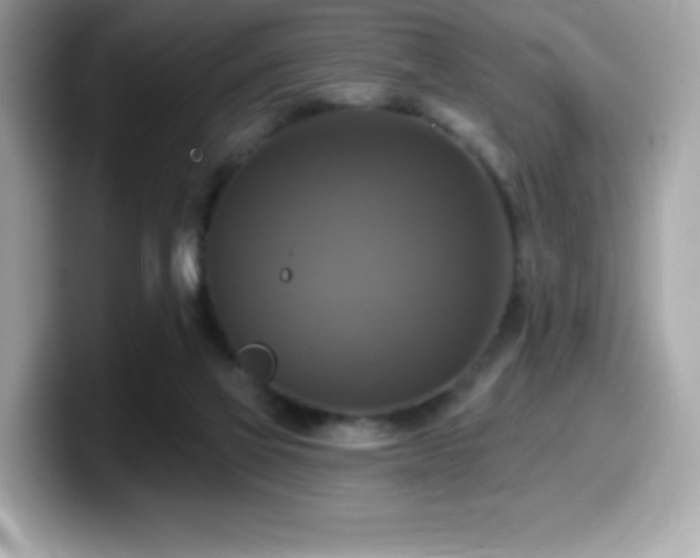 X0000099950069200805231330