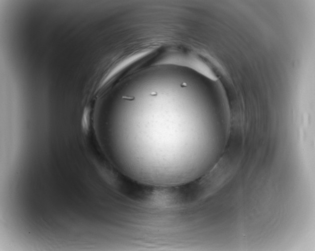 X0000099950070200805231330