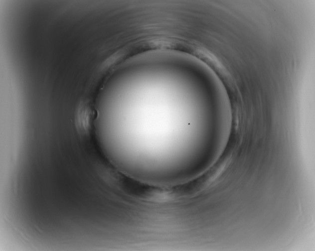 X0000099950071200805231330