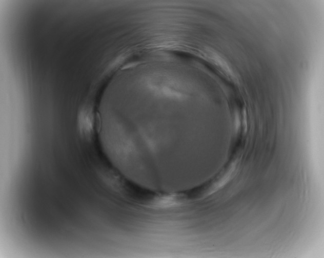 X0000099950072200805231330