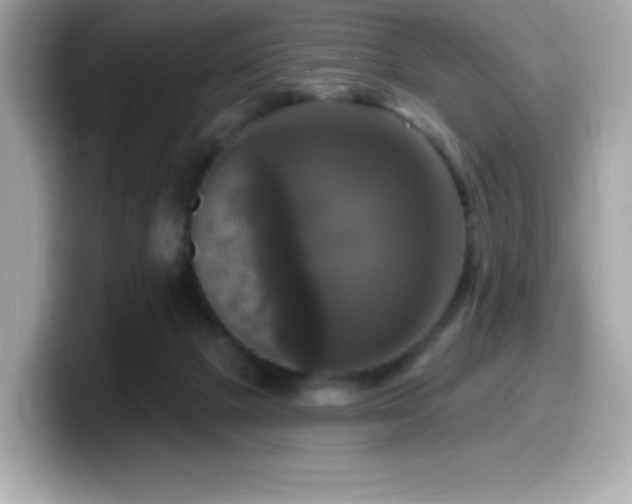 X0000099950073200805231330