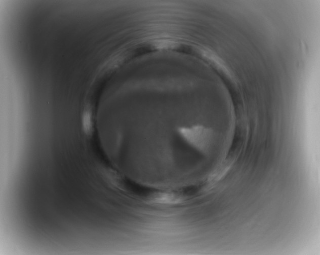 X0000099950074200805231330