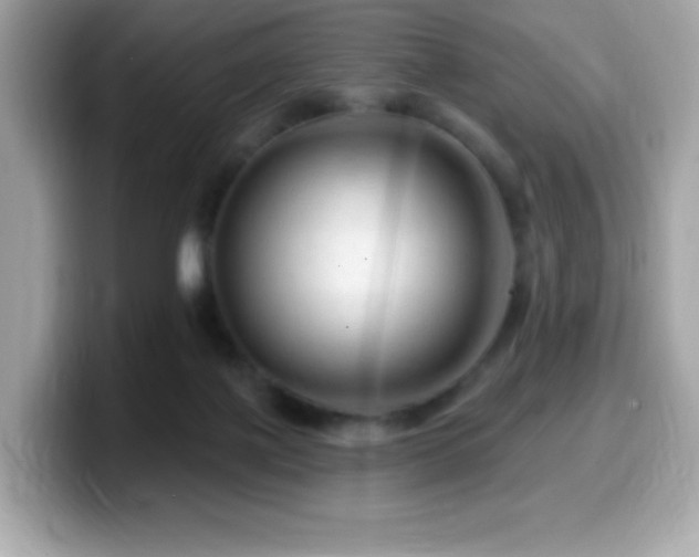 X0000099950075200805231330
