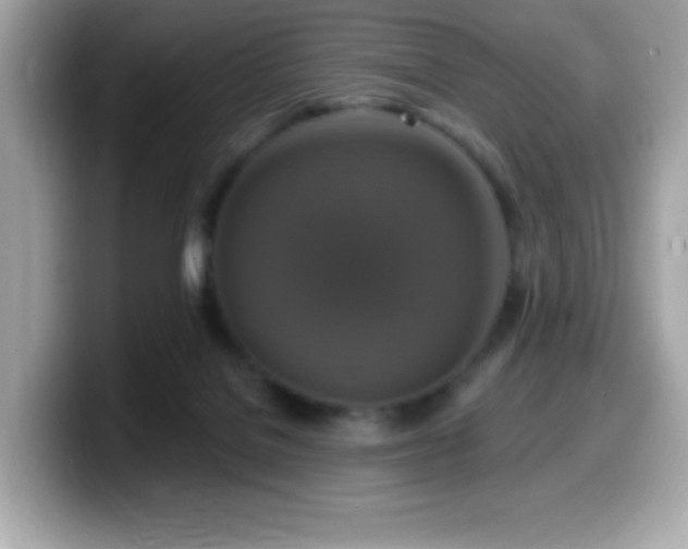 X0000099950076200805231330