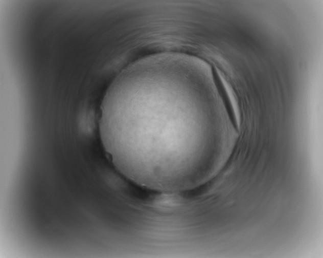X0000099950077200805231330