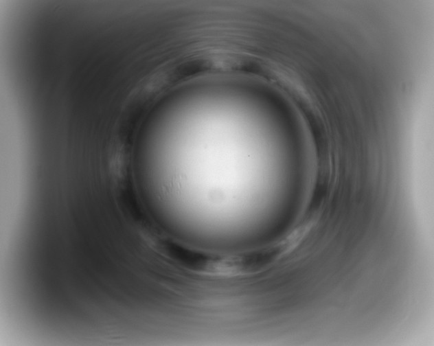 X0000099950078200805231330
