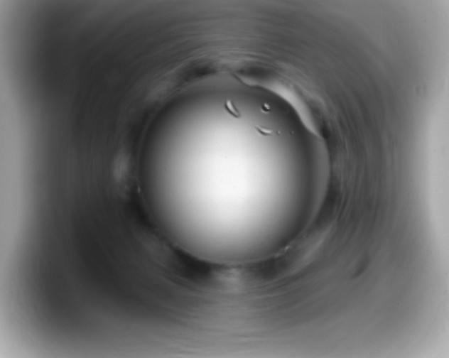 X0000099950079200805231330