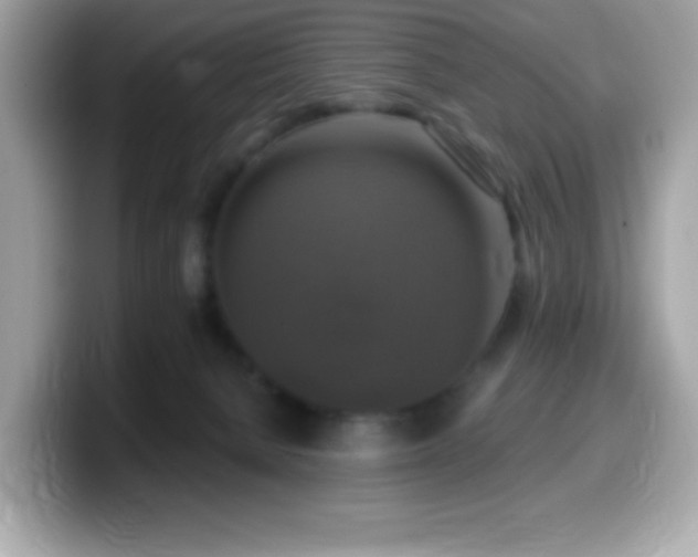 X0000099950080200805231330