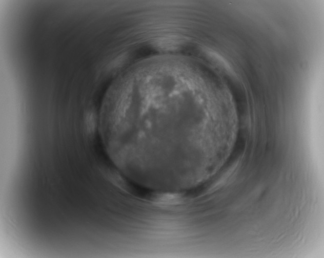 X0000099950081200805231330
