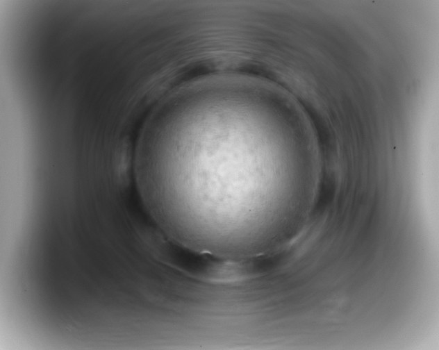 X0000099950082200805231330