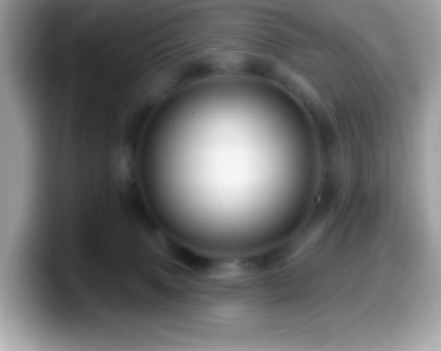 X0000099950083200805231330