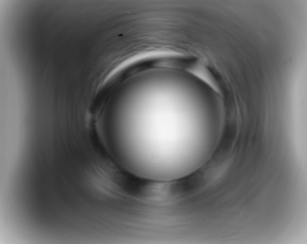 X0000099950084200805231330