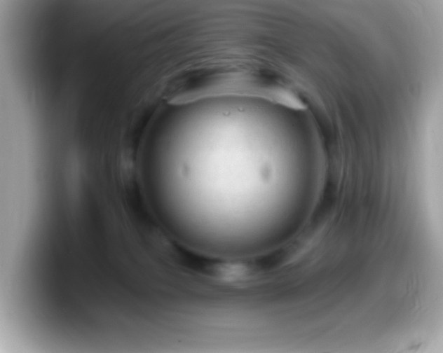 X0000099950085200805231330