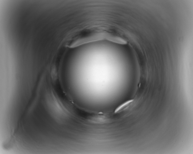 X0000099950086200805231330