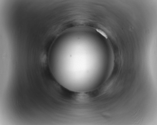 X0000099950087200805231330
