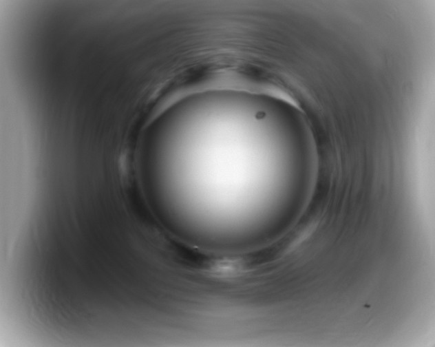X0000099950088200805231330