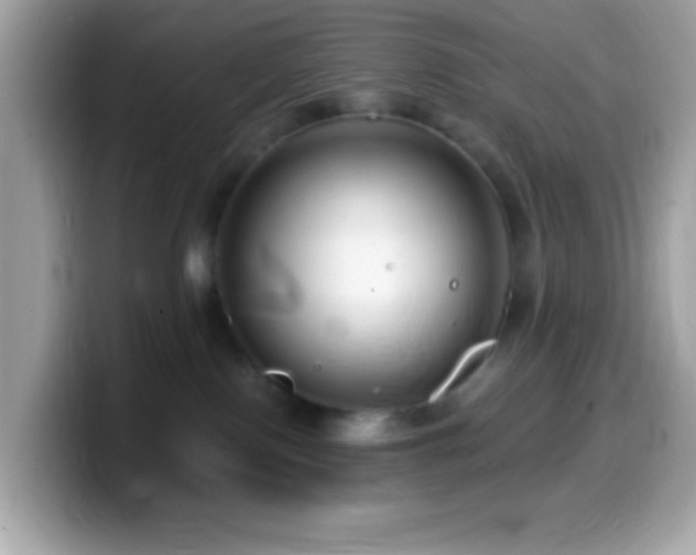 X0000099950090200805231330