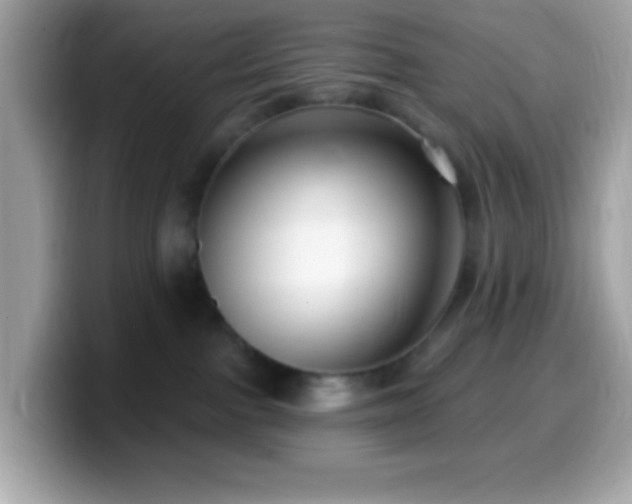 X0000099950091200805231330
