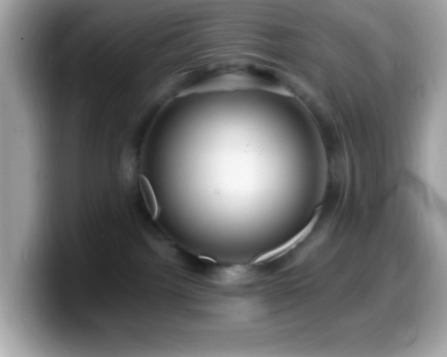 X0000099950092200805231330