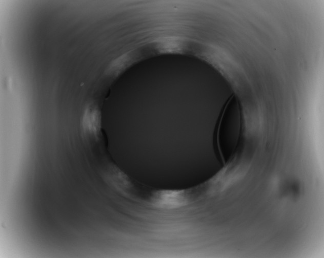 X0000099950093200805231330
