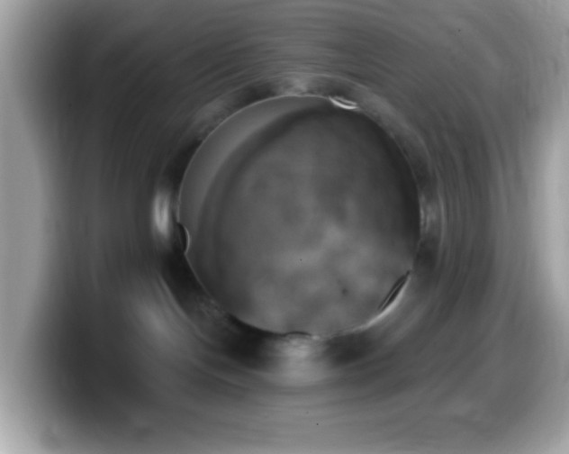 X0000099950094200805231330