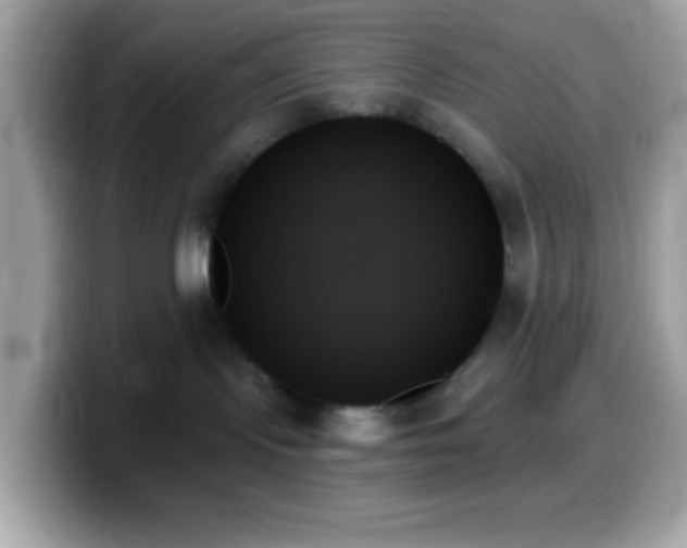 X0000099950095200805231330
