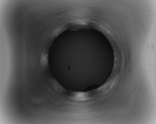 X0000099950096200805231330