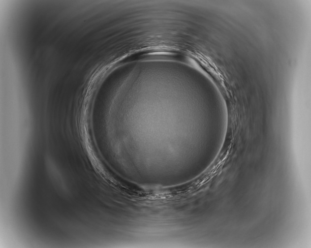 X0000099950097200805231329