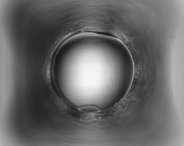X0000099950098200805231329
